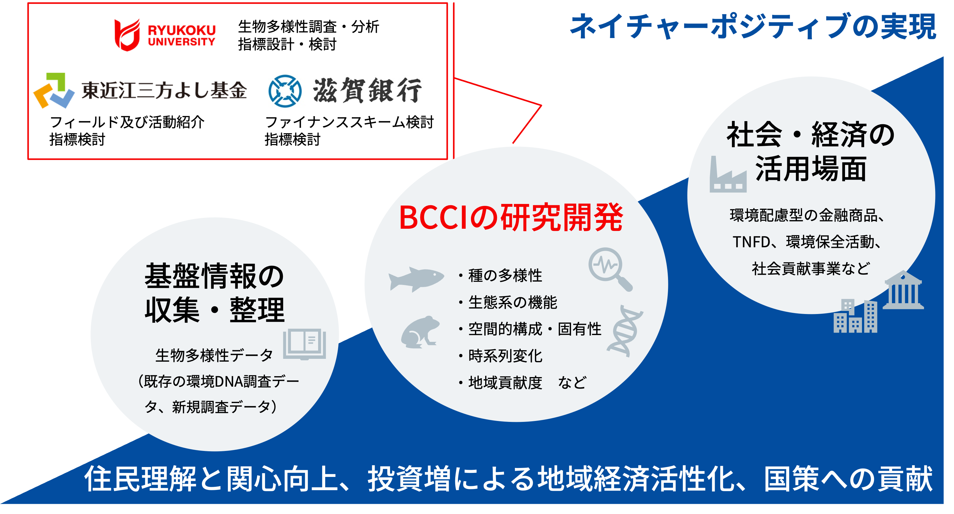 【龍谷大学】ネイチャーポジティブを滋賀から実現へ― 地域から自然資本と経済の好循環を生み出す「生物多様性保全総合指数（BCCI）」の研究開発を始動 ―