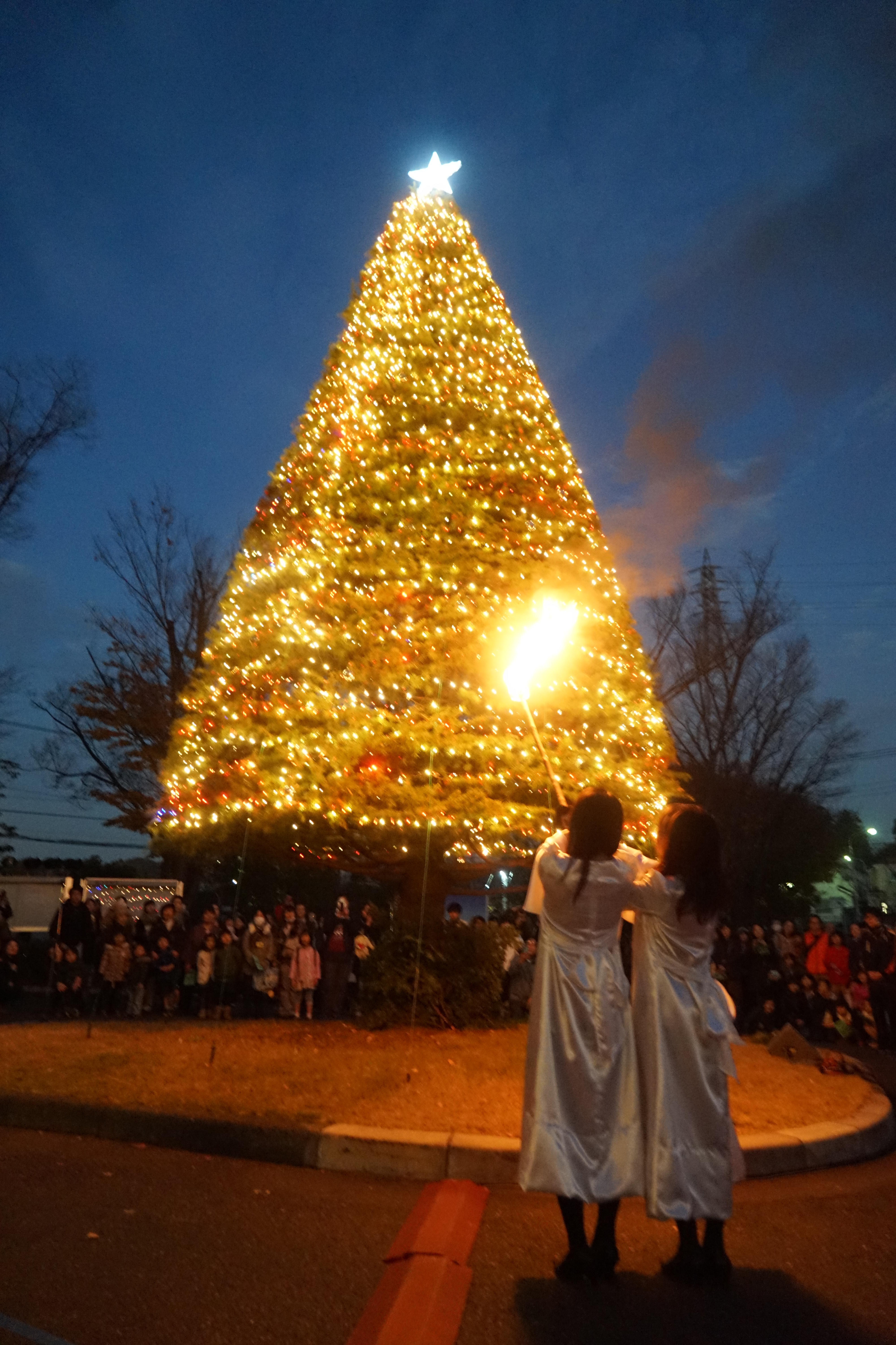 埼玉県内唯一のキリスト教大学　聖学院大学クリスマスツリー点火祭 11/28開催　～創立30周年・地域に開かれた大学としての歩みを覚えて～