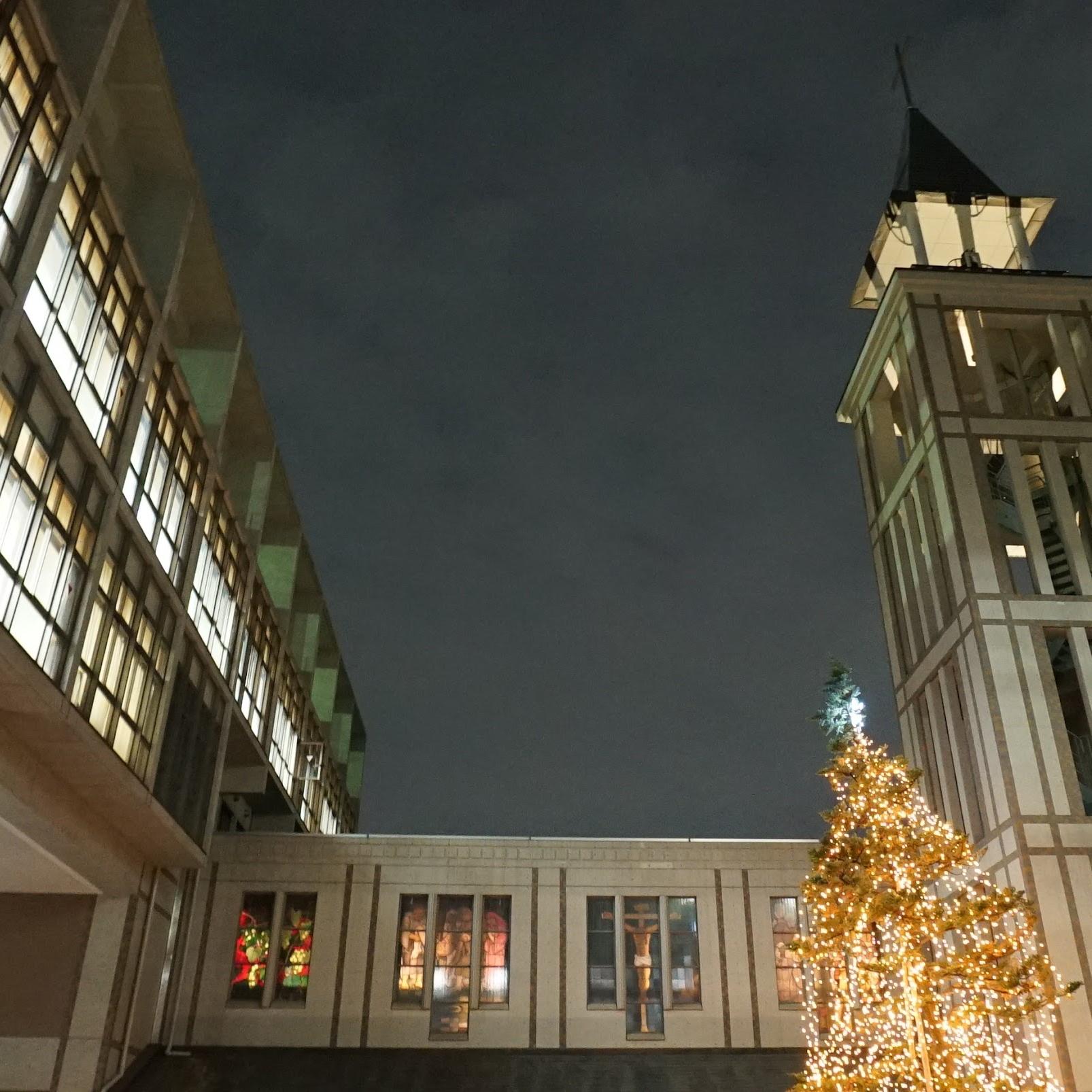 学校法人聖学院 駒込キャンパス 3校１園合同クリスマスツリー点火式を開催 -- 創立120周年を覚え、キャンパスに光が灯る --
