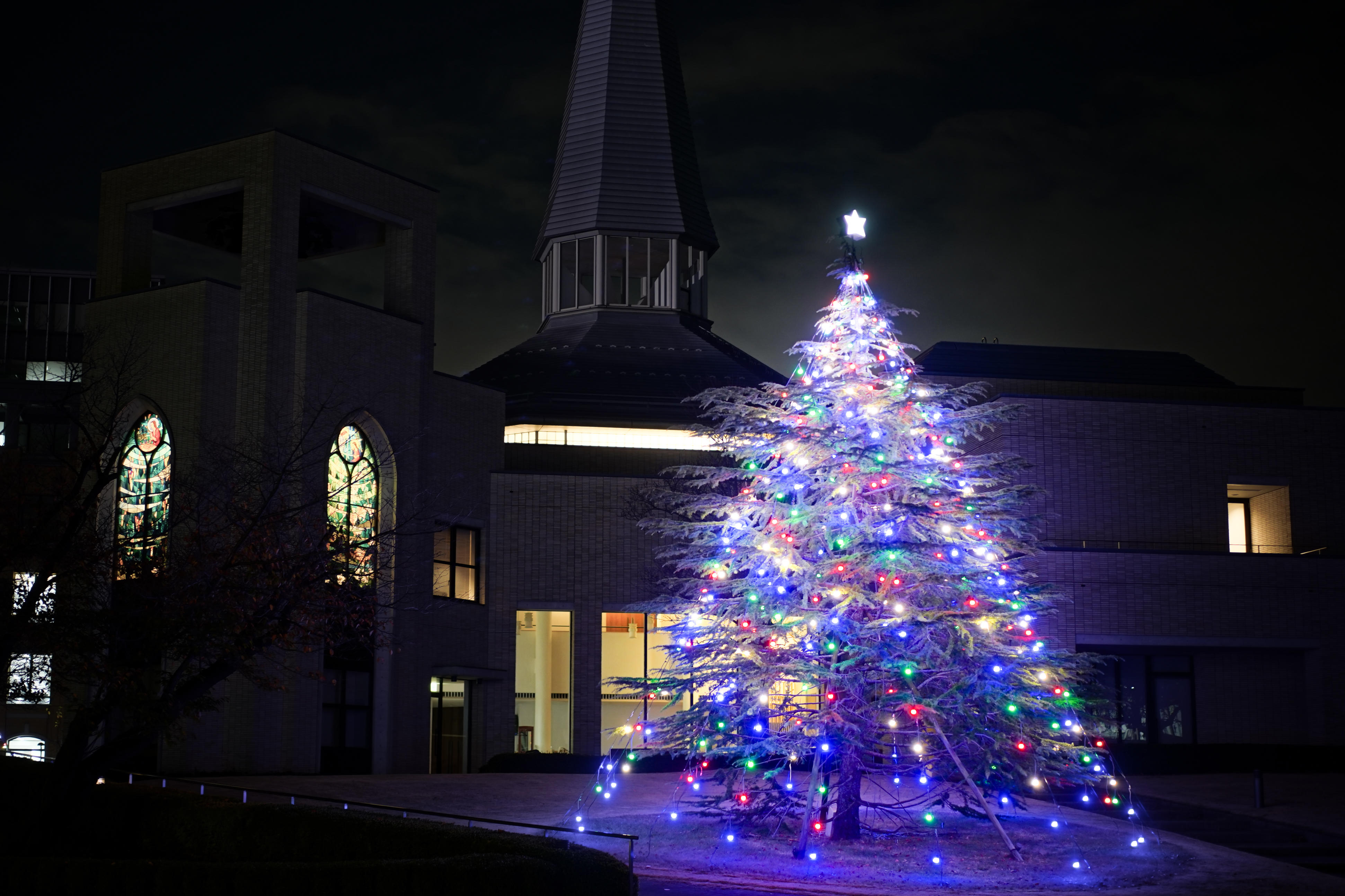 青山学院大学　青山・相模原両キャンパスでクリスマス・ツリー点灯中