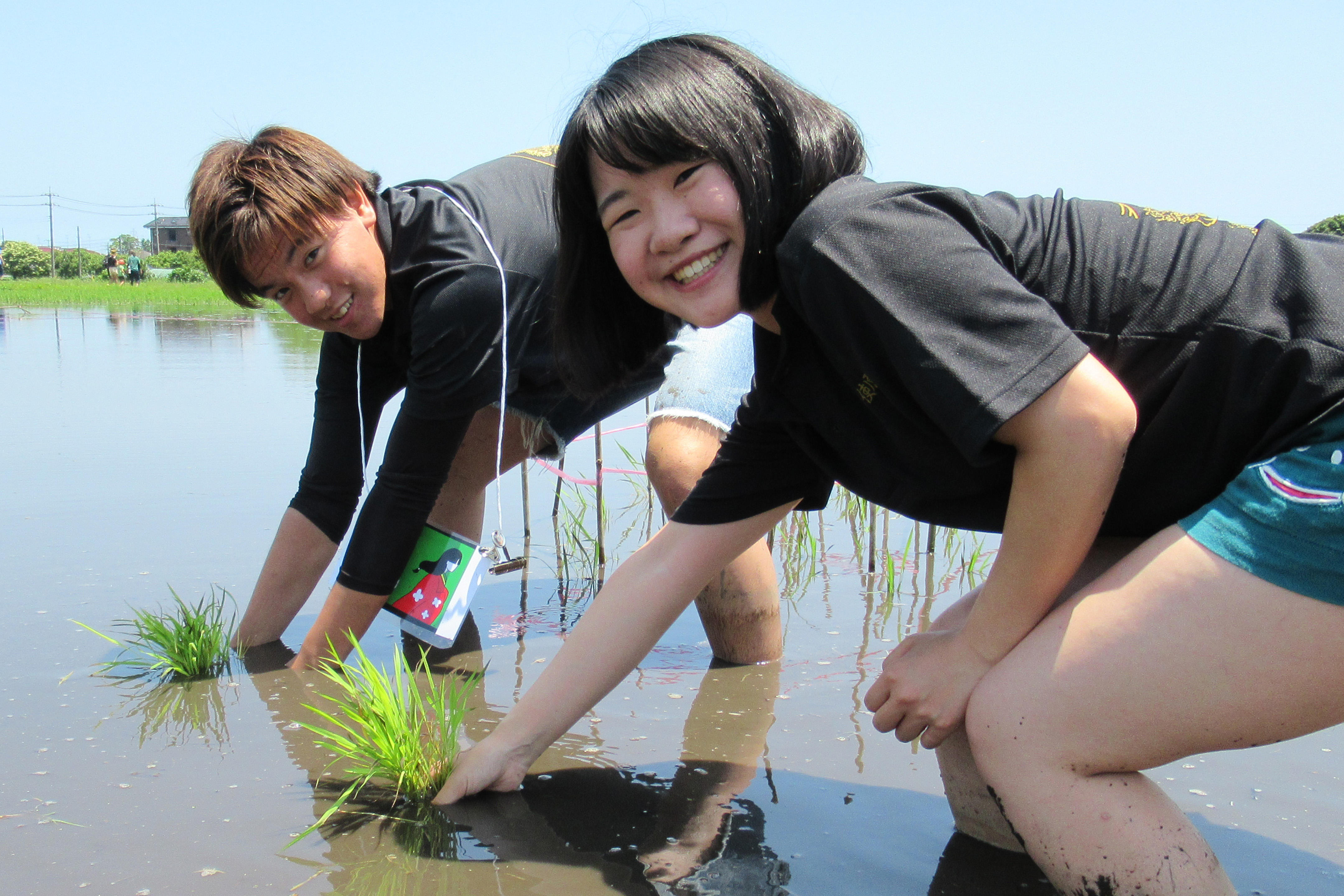 千葉商科大学 -- 地元を盛り上げる地域活性化プロジェクト「さんむ田んぼアート2019 はじめる田植え」で田植え体験、地元産食材BBQ、田植え結婚式を実施