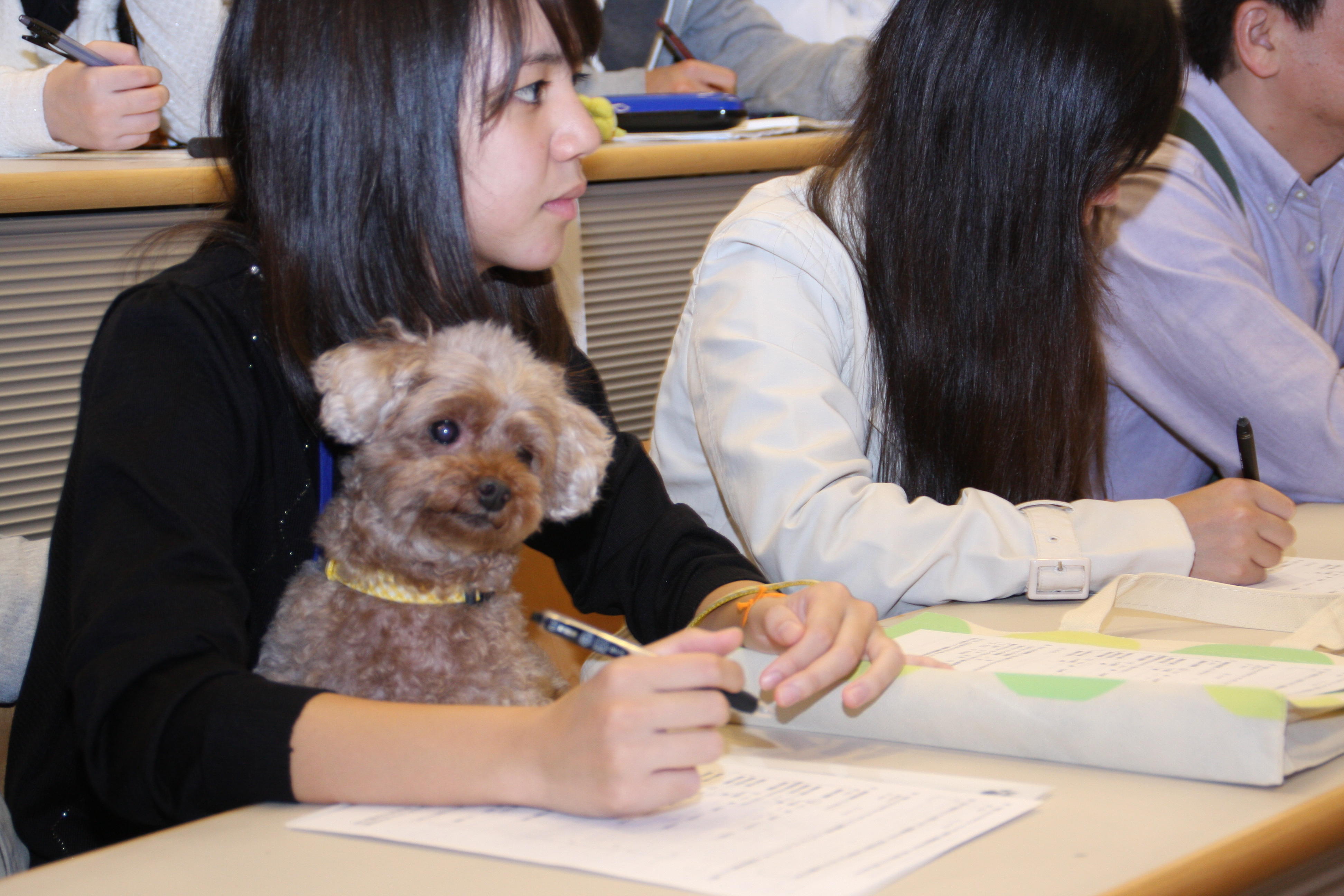 ～愛犬と一緒に参加して健康について学ぼう！　公開講座「ヒトがイヌと歩くということ」及びドッグ・ウォーキングフェスティバル開催のお知らせ