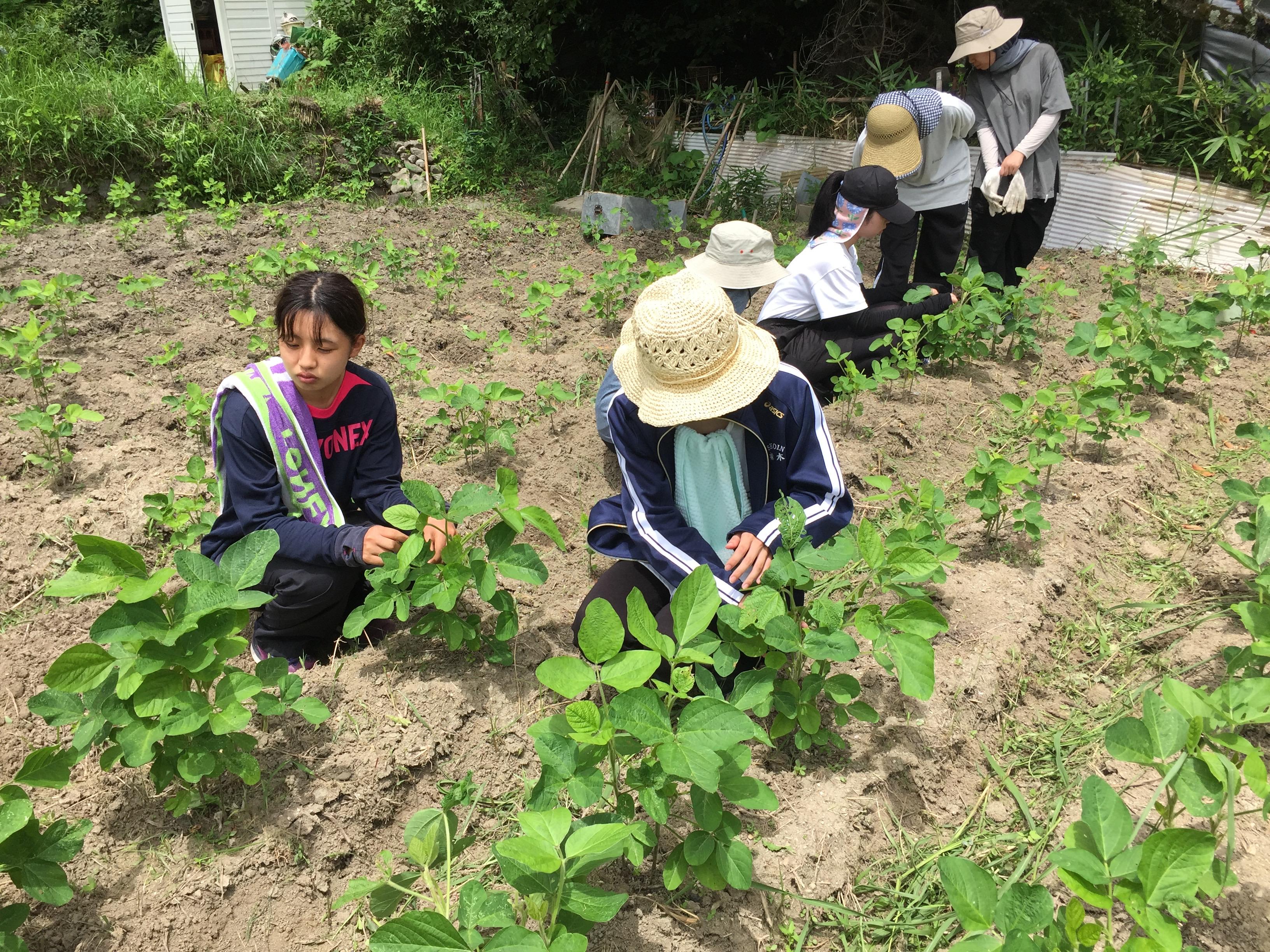 ■複合型コミュニティづくりを目指す