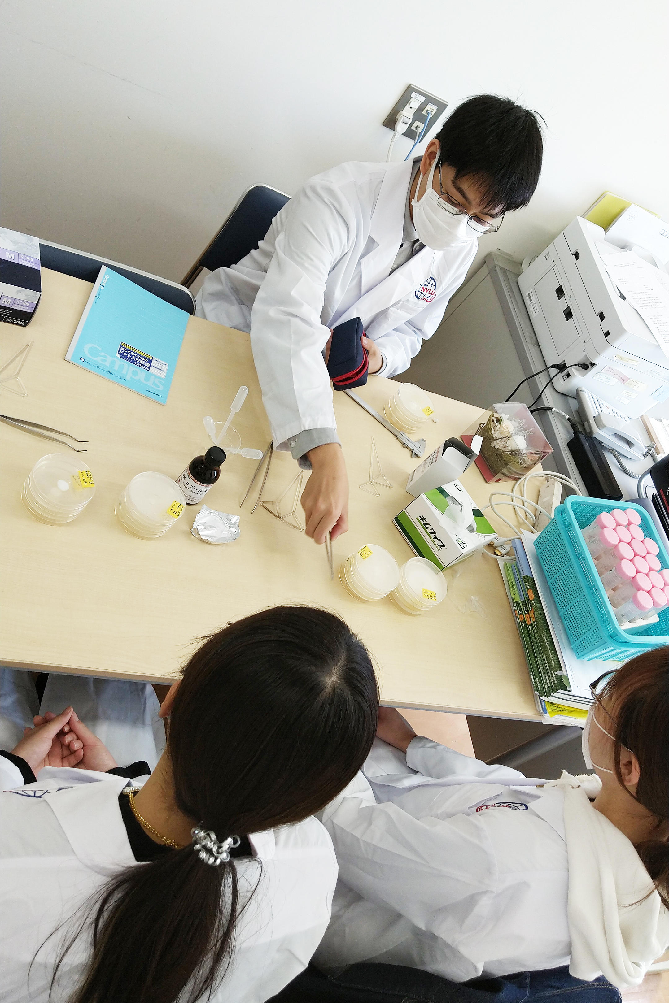 日本獣医生命科学大学食品科学科で1年次から研究指導が受けられる「早期ゼミ制度」がスタート