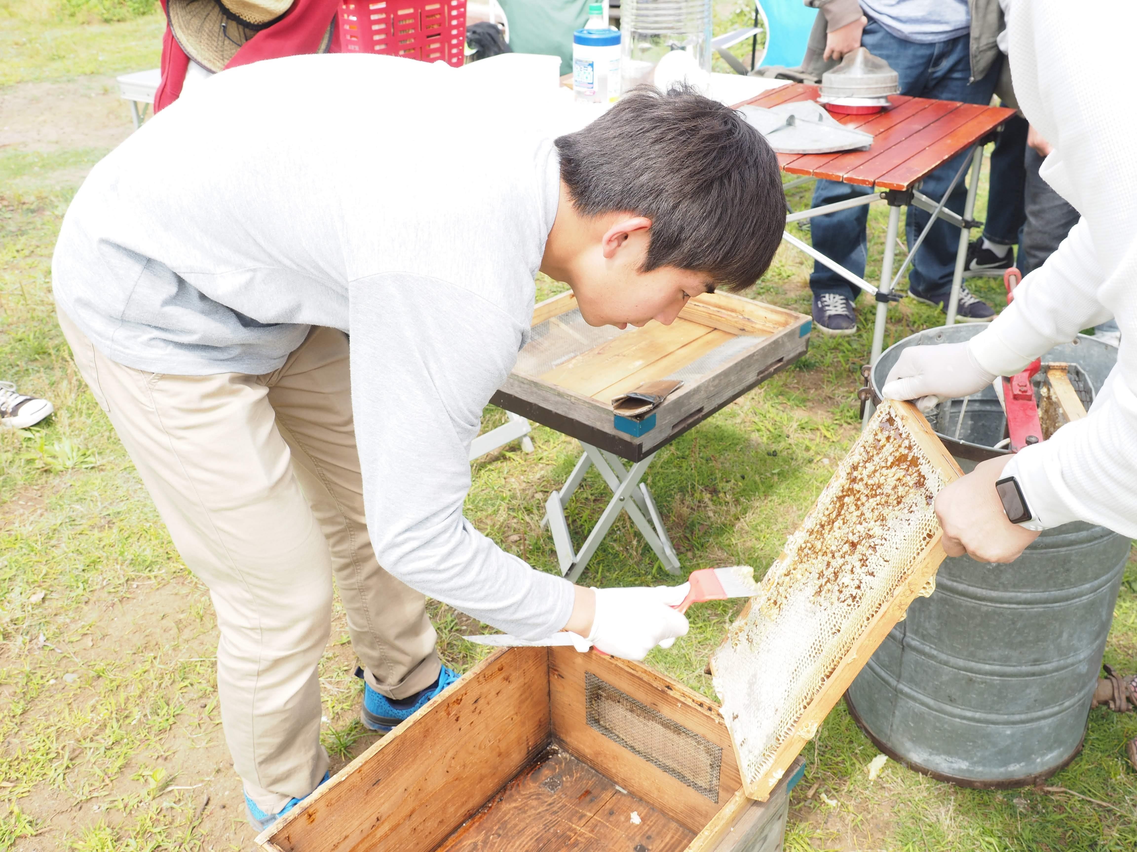 創立30周年を記念して聖学院大学とNPO法人さいたまミツバチプロジェクトがコラボ。埼玉県産100％はちみつを使用したカステラが誕生！