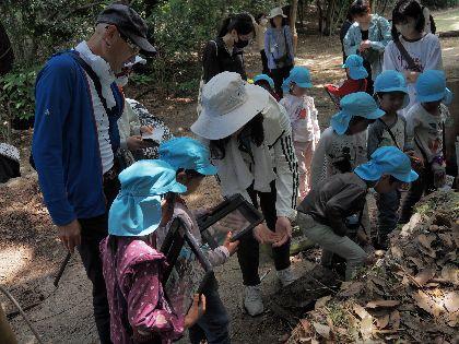 神戸女学院大学が10月24日に岩園保育所で「身の回りの生き物図鑑を作ろう！」を実施 -- 芦屋市との協働イベント2回目の開催、学生と児童が協力して生き物を探索