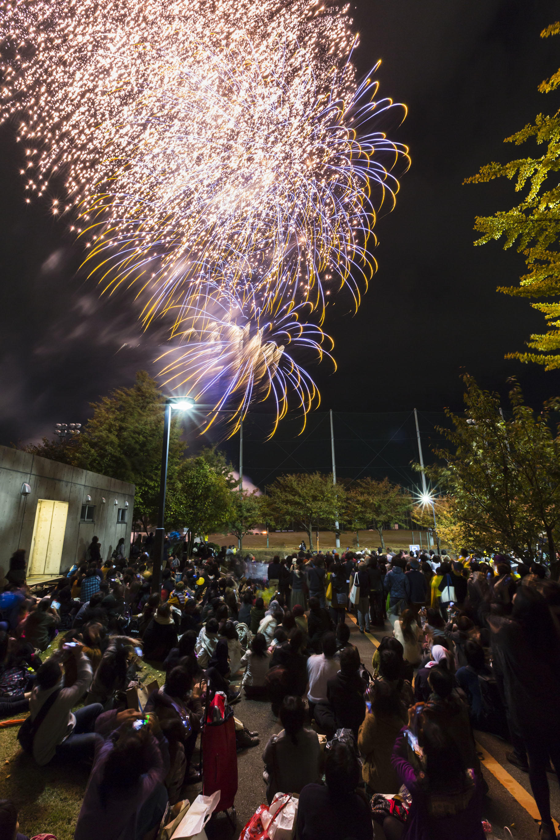 個性豊かな作品に出合える3日間。多摩美術大学の秋の祭典「芸術祭」。