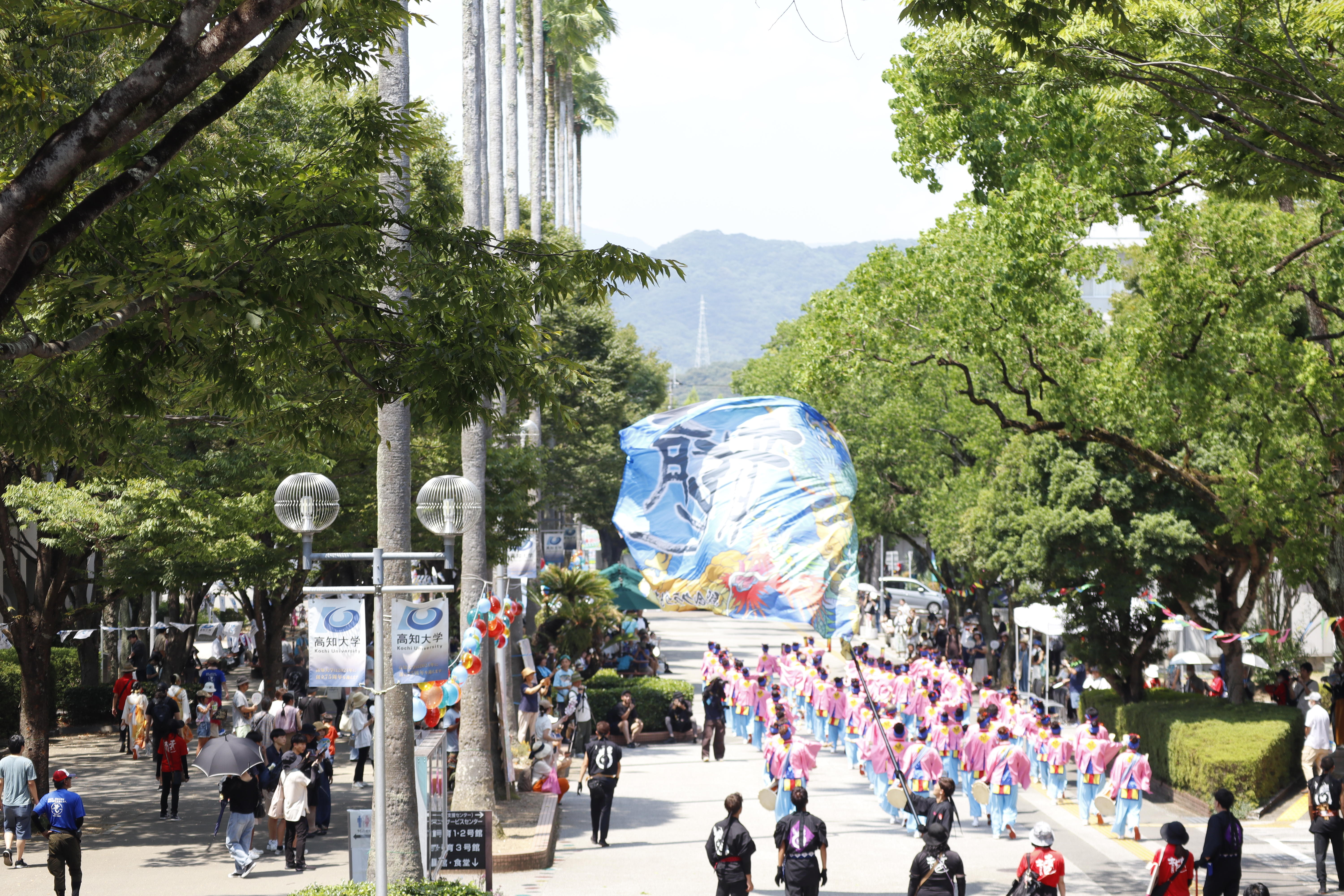 第71回よさこい祭りで「高知大学演舞場」を開設 ― 県内唯一の大学演舞場に延べ2,600人が来場