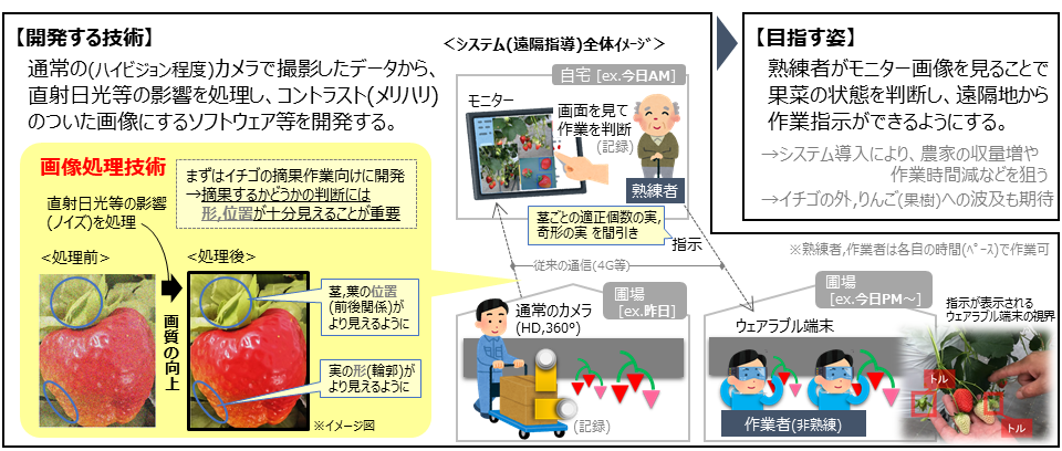 摘果作業アシストシステムの製品化に向け産学連携による研究開発を開始。熟練者は自宅に居ながらどの実を摘むか指示。圃場作業者はMRめがねの提示情報に従い、的確な摘果・摘花を実施。 -- 金沢工業大学