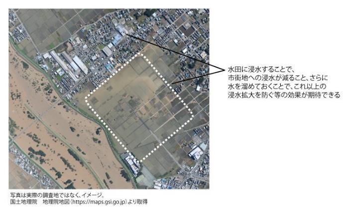 持続可能な防災インフラ、特定立地の水田が洪水被害を緩和する ～ 生態系を利用した防災・減災を考慮した土地利用の実現に貢献 ～ 学術誌『International Journal of Disaster Risk Reduction』に掲載