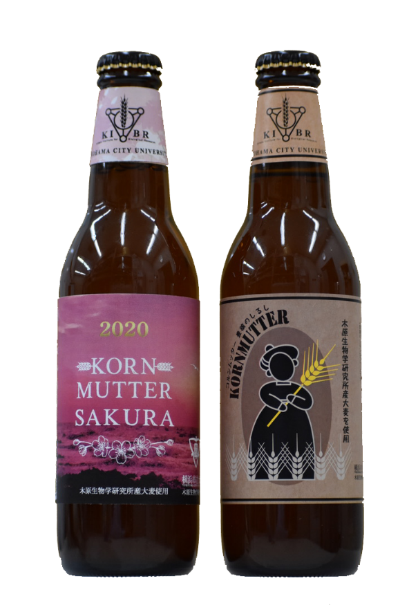 木原生物学研究所産の大麦使用のクラフトビール 第3弾　春の季節限定さくらのビール「KORNMUTTER SAKURA」を発売！