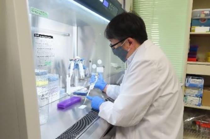 大阪大学とサンワード商会がハイブリッド触媒のヒトコロナウイルスを用いた感染阻害試験を行い、ウイルスの99.9％が不活化することを確認
