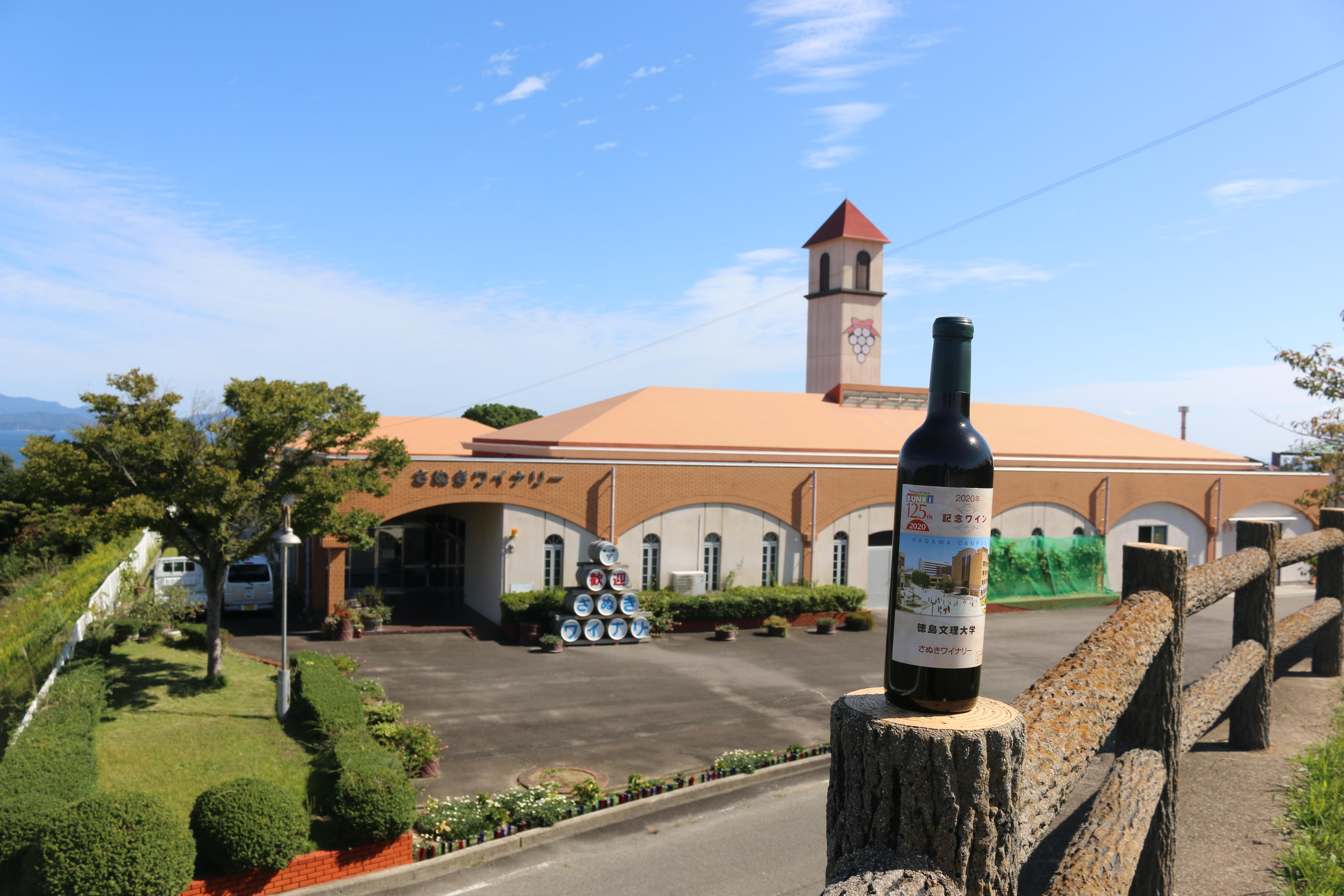 徳島文理大学と株式会社さぬき市SA公社がワイン用葡萄の品質向上のための栽培試験を共同で実施 -- 太陽光パネルとLEDでワイン用葡萄の糖度が10％増加