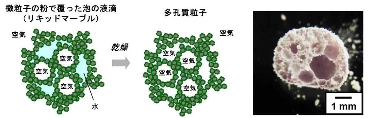 泡を乾燥させるだけ 環境にやさしく省エネで簡便　多孔質粒子作製の新技術 -- 大阪工業大学