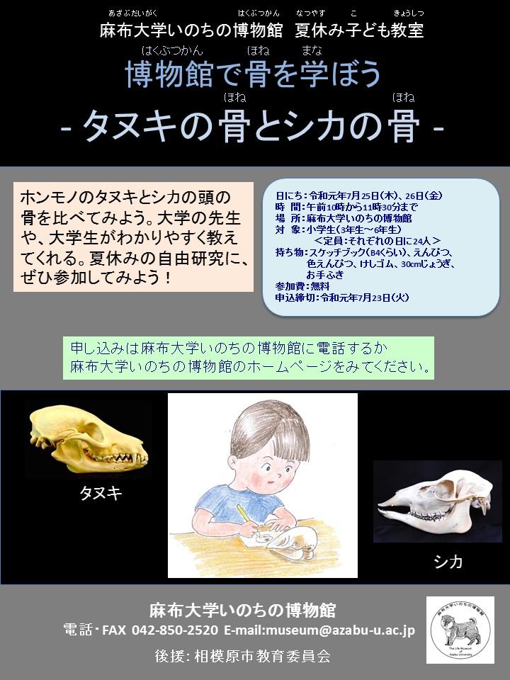 麻布大学いのちの博物館　「骨」から学ぶ夏休み　～麻布大学で子ども教室～