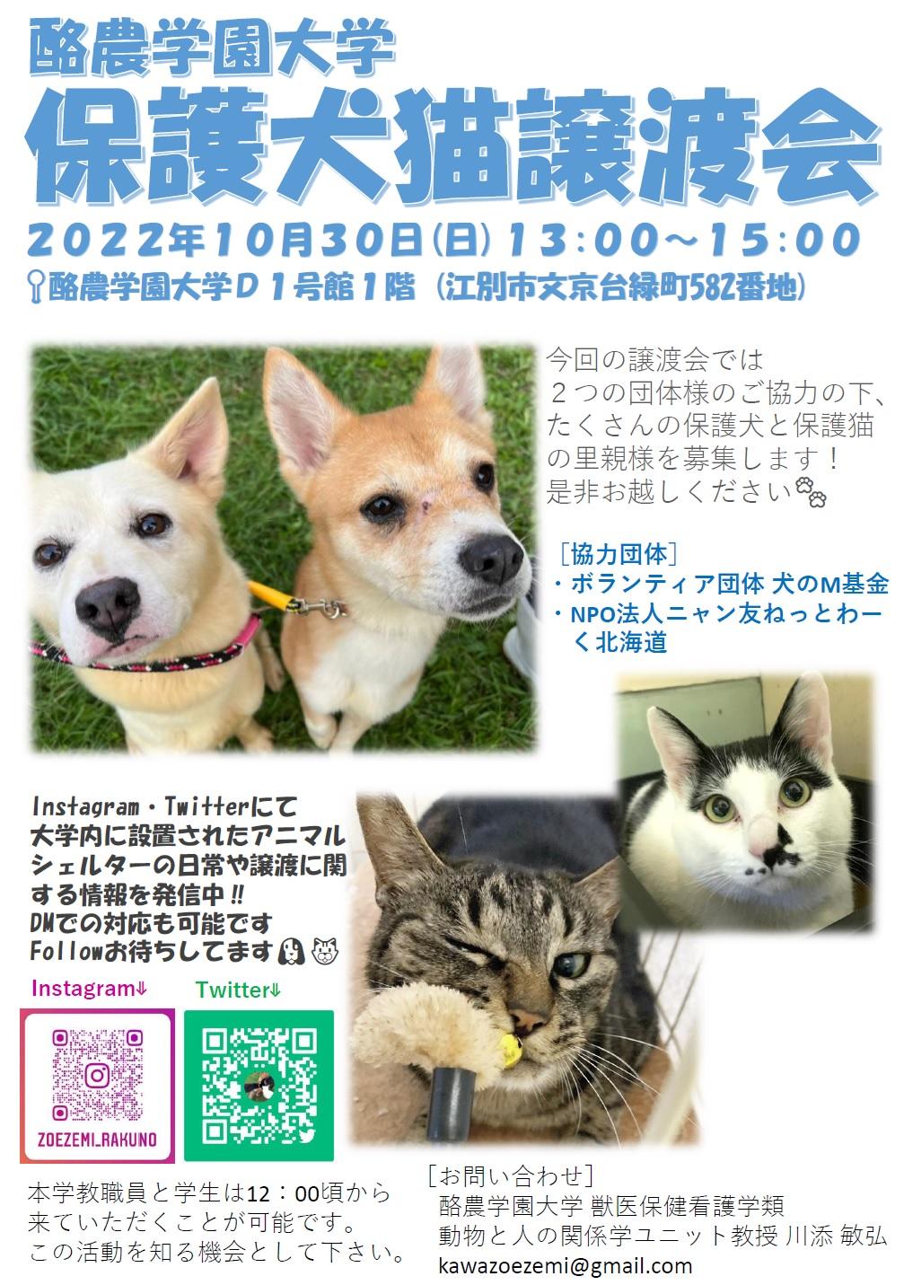 10/30(日) 酪農学園大学で保護犬猫の譲渡会を実施します。