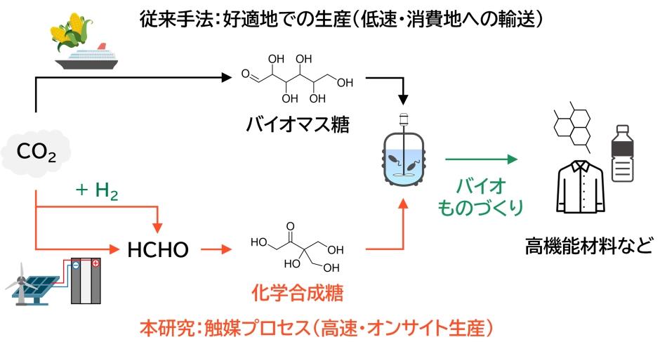 【大阪大学】世界初！高速化学合成した糖によるバイオものづくり ～食料と競合しない持続可能な原料糖の調達を可能に～