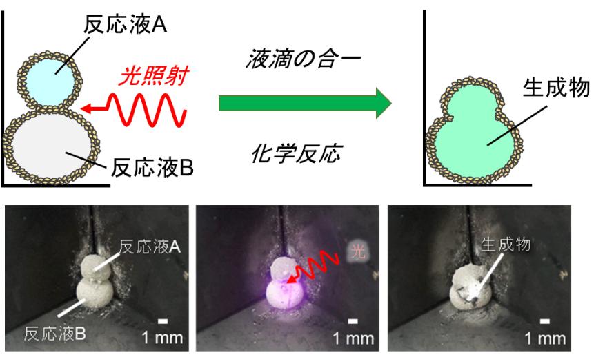 光を当てることで反応液を混ぜて反応開始！ コストと時間を削減 液滴利用のマイクロ反応容器開発 -- 大阪工業大学