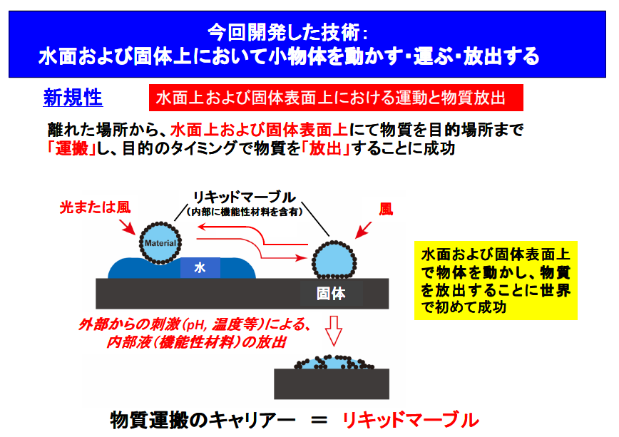 水面はスイスイ 固体面はコロコロ　小物体を''水陸両用''で運搬する技術を開発 -- 大阪工業大学