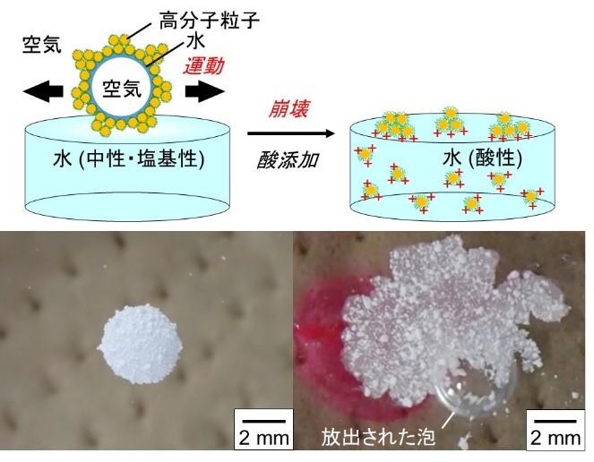 酸性にするとパチンと消えるシャボン玉　ガスの運搬・放出が可能に--大阪工業大学