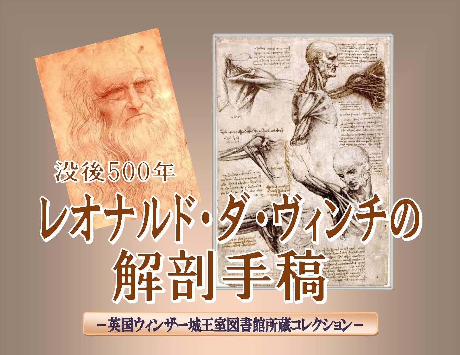 聖徳大学が「レオナルド・ダ・ヴィンチの解剖手稿 -- 英国ウィンザー城王室図書館所蔵コレクション」を開催中 -- 解剖学に関するデッサン等を一般公開