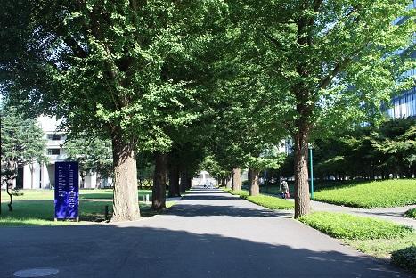 相模女子大学　市民公開講座「ウエイトコントロール～減量・増量のエネルギー調整の考え方～」を開催します