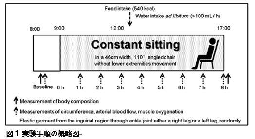 東京医科大学健康増進スポーツ医学分野 黒澤裕子講師らの研究グループが、「低着圧の弾性ストッキング着用が、長時間座位姿勢保持時の血栓症発症リスクの軽減につながる可能性を発見」