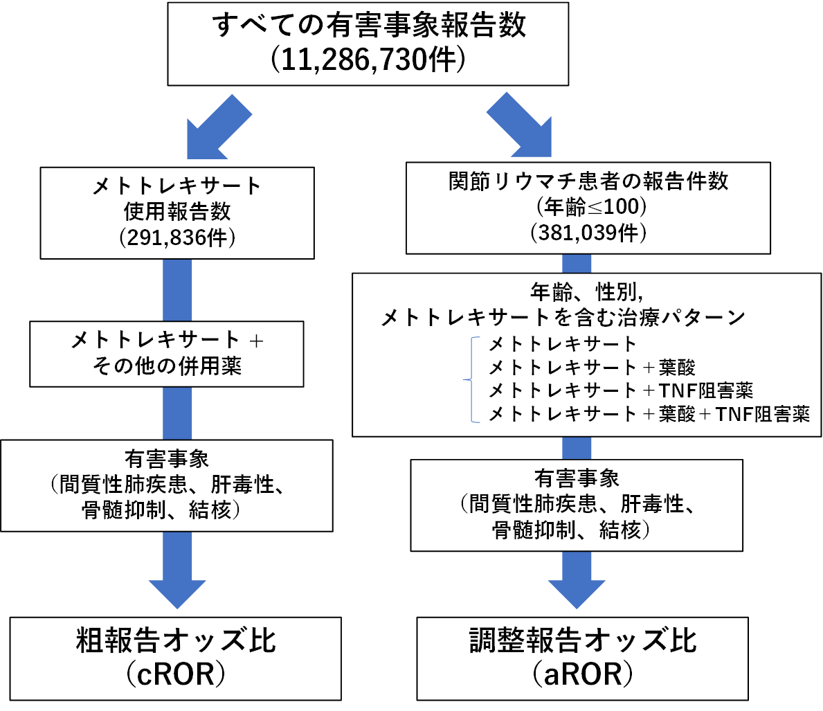 【東京薬科大学】大規模データを用いたデータサイエンス研究により抗リウマチ薬の安全性への薬物併用の影響が明らかに