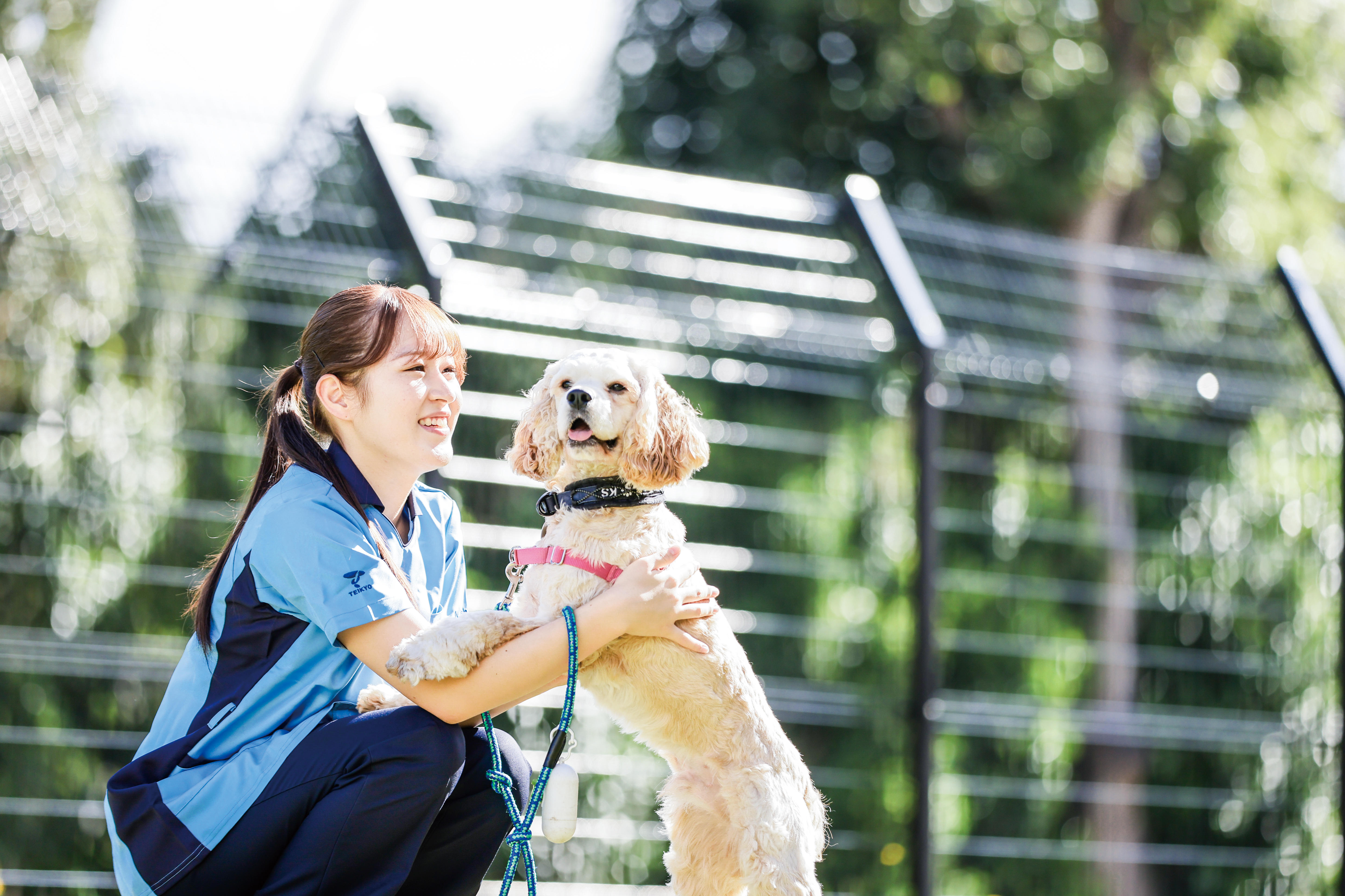 新・国家資格「愛玩動物看護師」とは ― 新しい実習室や最新のカリキュラムを提供する帝京平成大学で合格を目指す