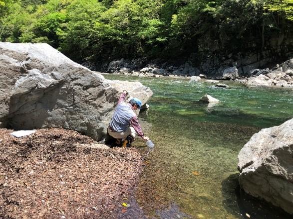 【龍谷大学】「環境DNA分析（※1）」はコップ1杯の水から　市民と連携した愛知川（※2）の生物多様性調査でサスティナブル（持続可能）な環境保全や漁場管理を推進