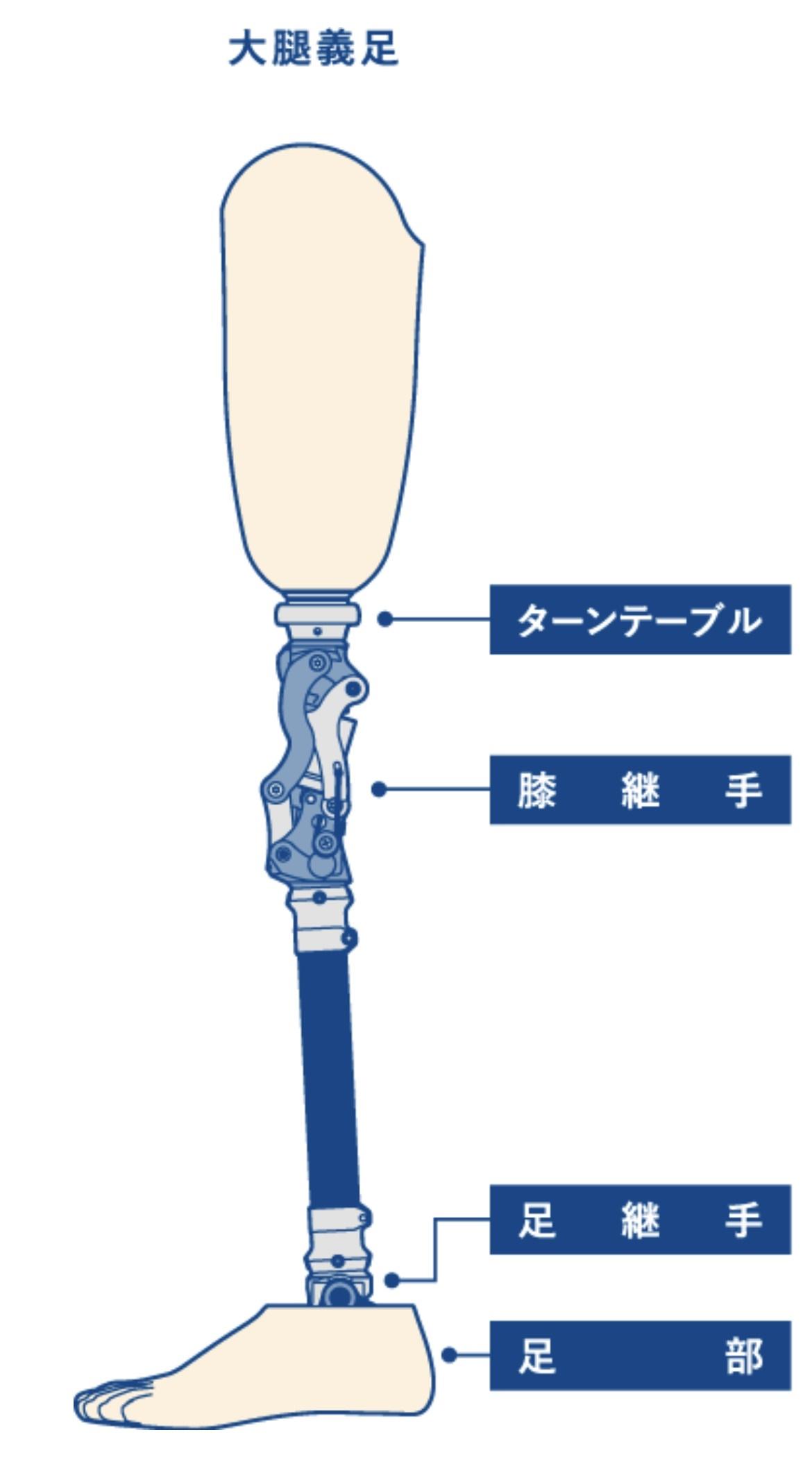 低価格で安心安全な『義足用膝継手』を共同開発　ユーザーに優しく練習不要、転倒リスク低減 -- 広島国際大学