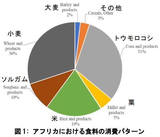 バイオ燃料がアフリカの食糧価格押し上げ　経済学部・郭教授ら　最新計量経済モデルのデータ分析で解明 -- 摂南大学