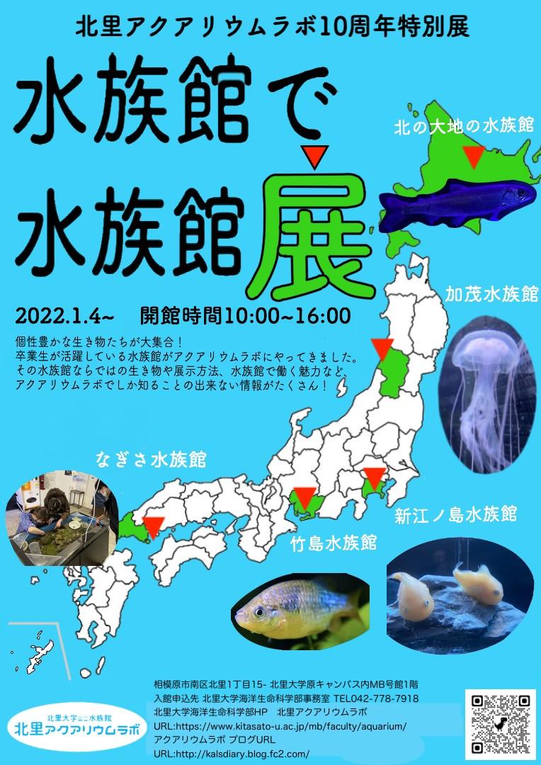 北里アクアリウムラボ10周年特別展「水族館で水族館展」 -- 北里大学