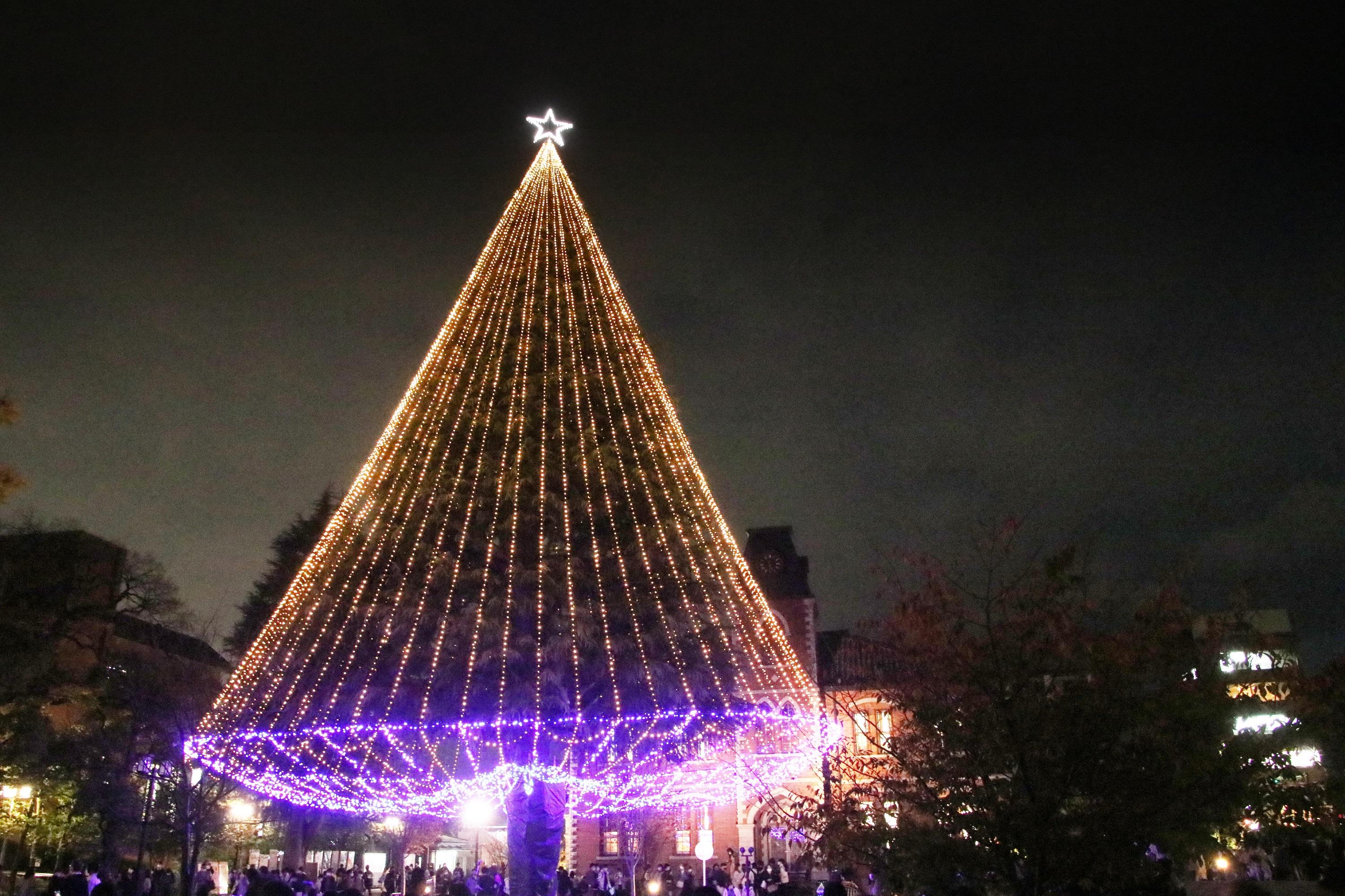 同志社大学今出川・京田辺両キャンパスでクリスマスツリー・イルミネーション点灯