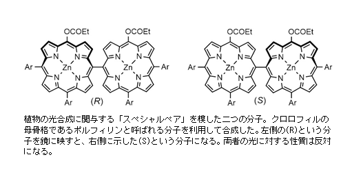 世界初！クロロフィルの誘導体が二つ集まり、円偏光発光（CPL）が発現 -- 首都大学東京・近畿大学・北里大学