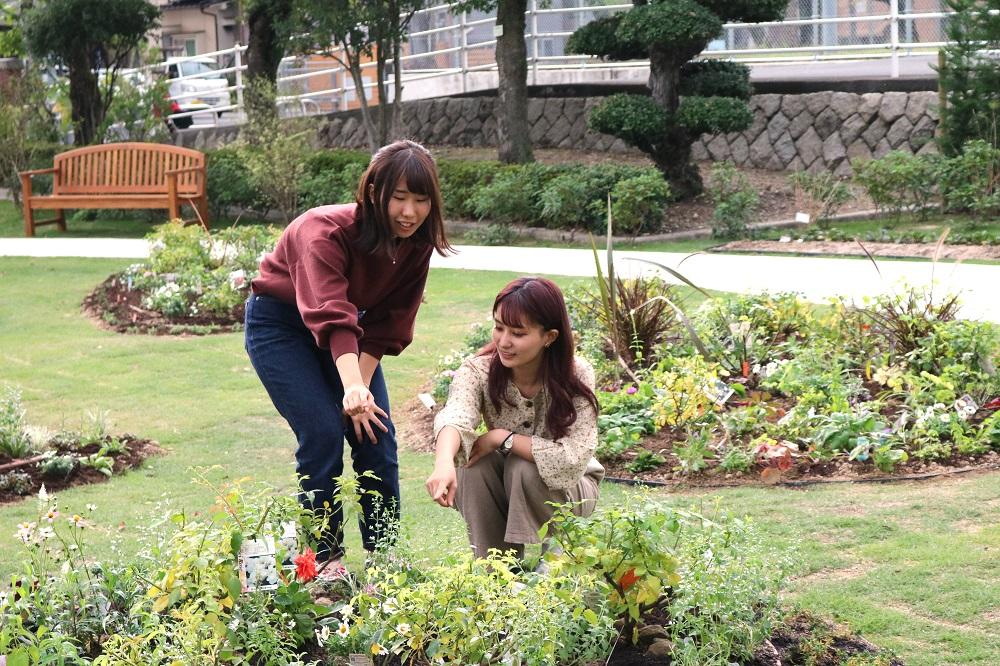 広島国際大学呉キャンパスに地域住民の憩いの場～「呉ローズガーデン」植栽会を実施～