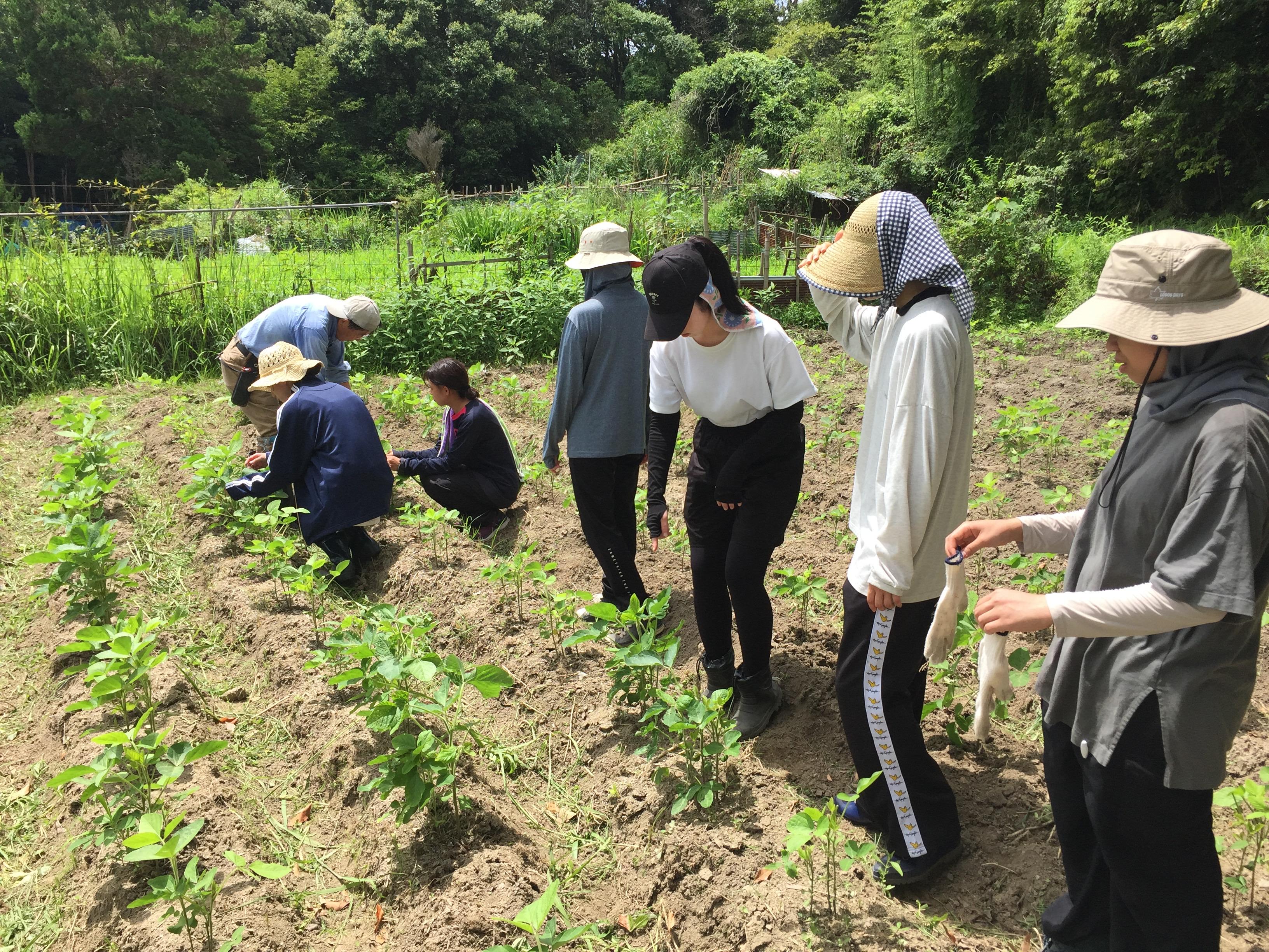 ■複合型コミュニティづくりを目指す