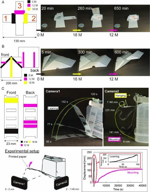 紙のソフトロボット 構造や動きの印刷に成功 -- インクジェット印刷で紙が自律的に折り紙へ --