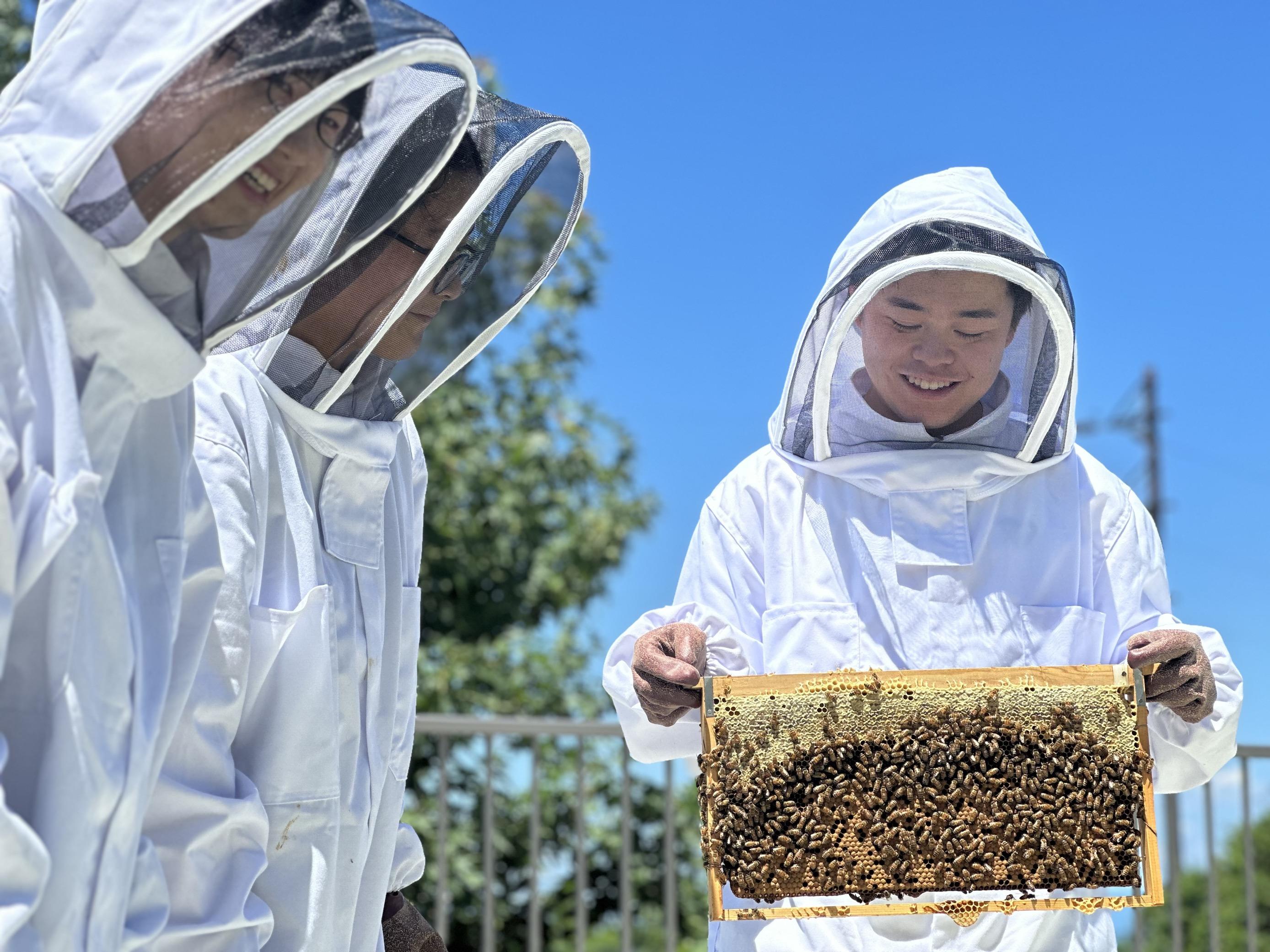【長浜バイオ大学】大学生が養蜂体験、大学で採れたハチミツを販売