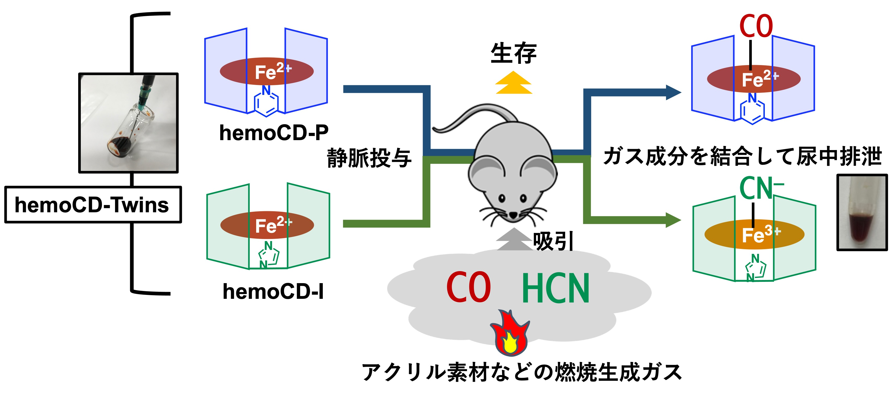 同志社大学 理工学部北岸教授研究チーム　火災ガス中毒の原因である一酸化炭素（CO）とシアン化水素（HCN）の同時解毒が可能な救急救命用治療薬を開発