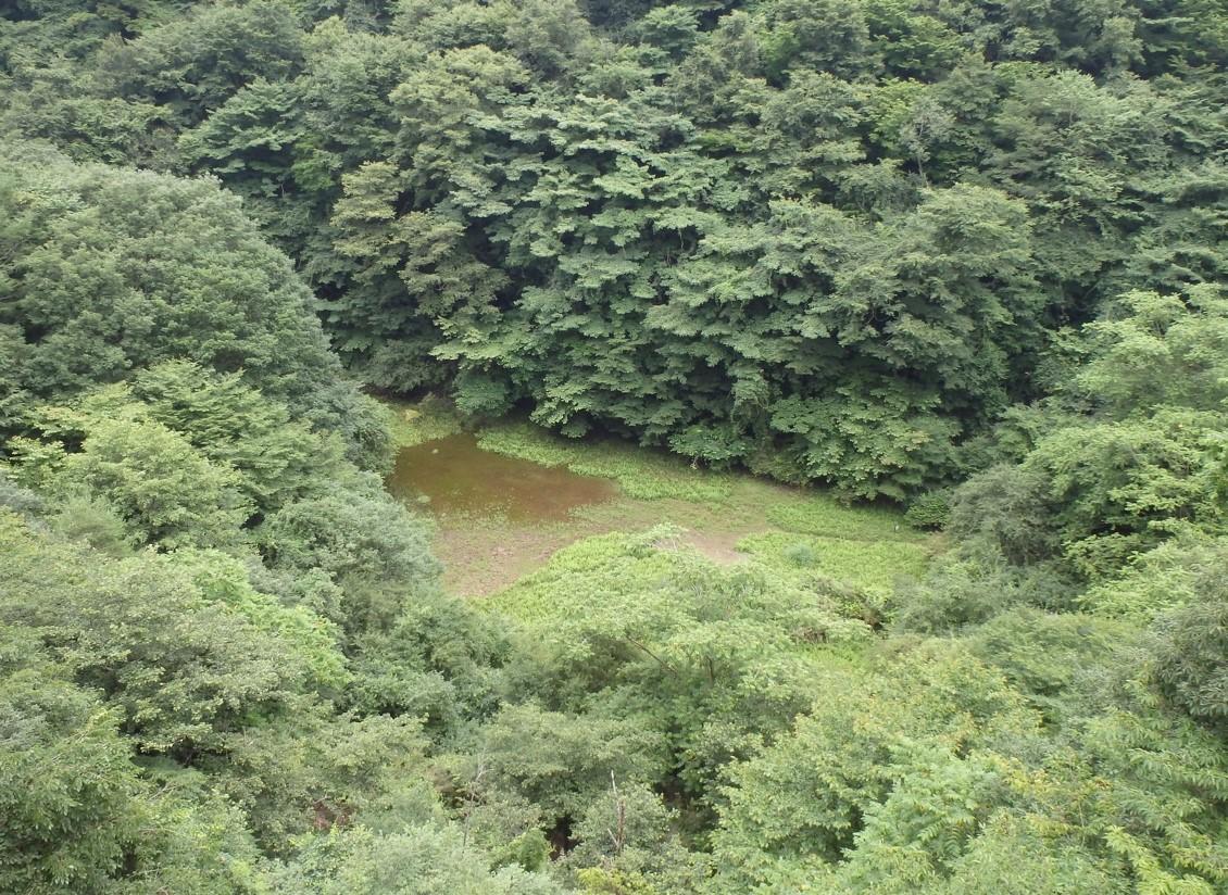 富士山北麓の幻の湖「赤池」、主に降雨により形成 ～ 精進湖の水と成分一致せず、定説を覆す ～