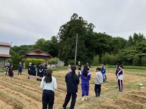 神奈川県・相模女子大学の学生が福島県本宮市で田植えのボランティア活動に参加　2008年から継続する連携活動　農作業体験で農業の課題を学ぶ　老舗菓子舗『きねや』に学ぶ銘菓づくり体験