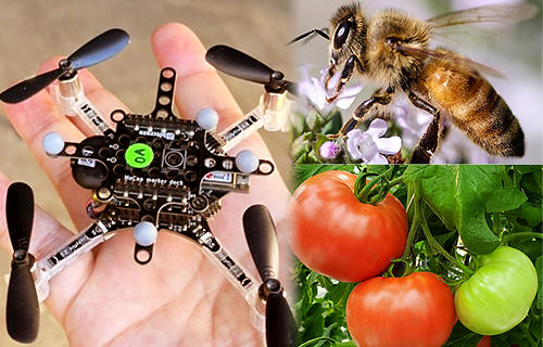 【日本工業大学】ドローンがトマト温室内をハチのように飛び回り、花を探し、受粉を行う！～ハチ不足、人手不足の問題を解決し、着果率を改善するスマート農業の研究