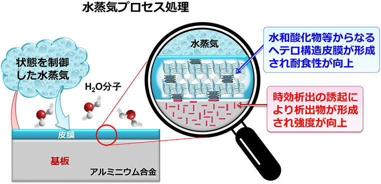 芝浦工業大学 -- アルミなど軽金属の高強度・高耐食化を両立する水蒸気を用いた表面処理技術を開発 ～環境負荷の低い方法で、鉄の代替となる輸送機器材料を作る～