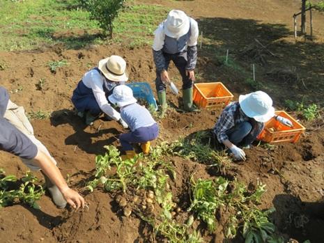 恵泉女学園大学でトークセッション「有機園芸を通じて社会とつながる」～たま食ネット×福島有機農家×子ども食堂・誰でも畑、恵泉教育農場～を開催