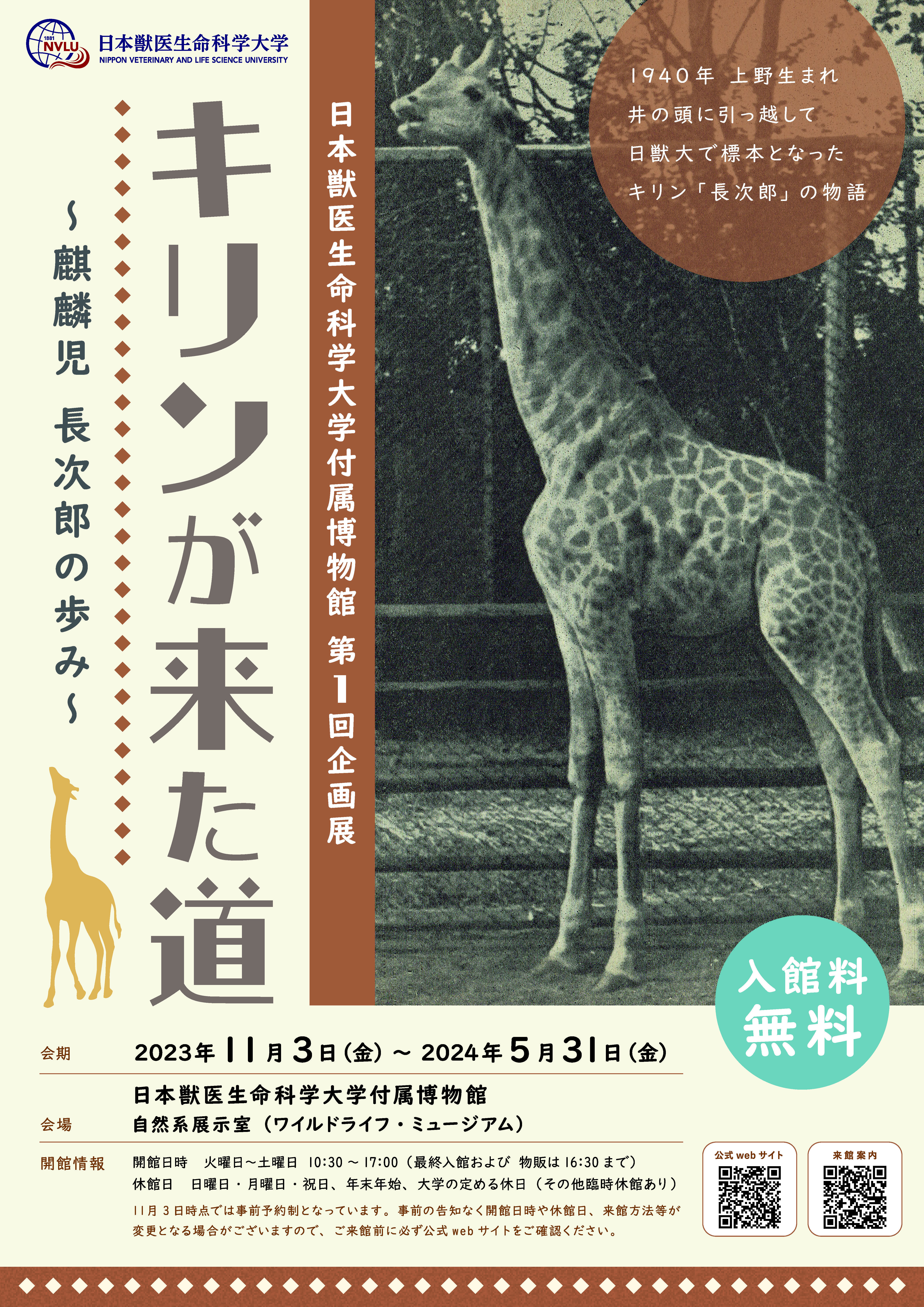 日本獣医生命科学大学が2024年5月31日まで企画展「キリンが来た道～麒麟児 長次郎の歩み～」を開催 