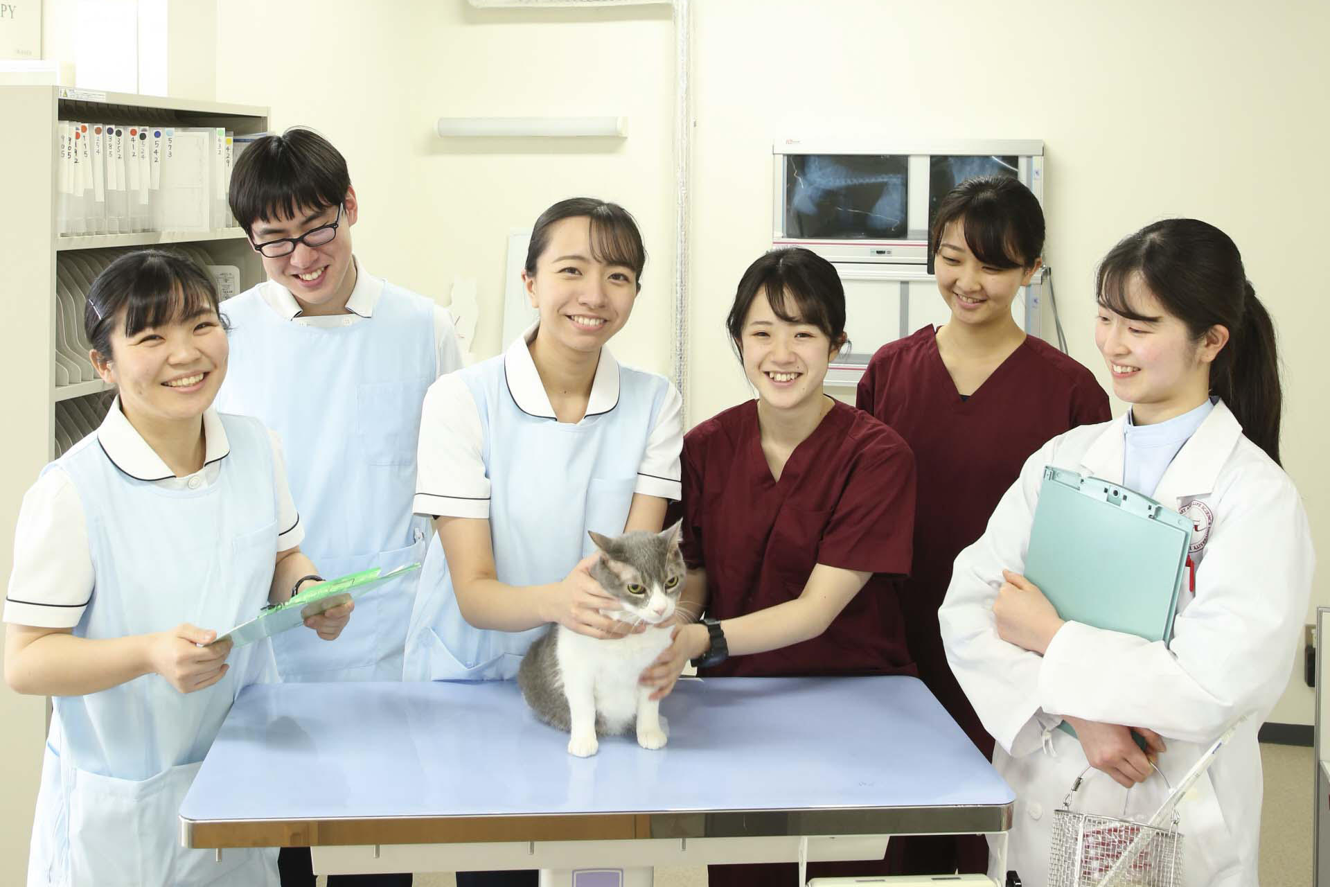 日本獣医生命科学大学が第1回愛玩動物看護師国家試験において2022年度卒業生の合格率100％を達成
