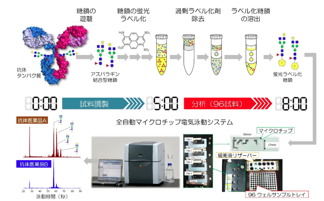 糖鎖解析において、世界最高レベルの高処理能力を実現　抗がん剤などのバイオ医薬品の開発を加速させる技術として期待