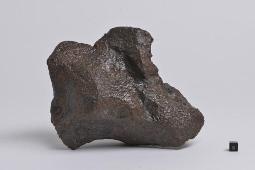 岐阜市長良で発見された鉄隕石、「長良隕石」と命名 -- 岐阜聖徳学園大学で記者発表を実施 -- 