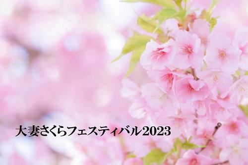 大妻女子大学が3月18日に地域貢献・学術交流イベント「大妻さくらフェスティバル2023」を4年ぶりに対面で開催 -- 創立者・大妻コタカに関する展示や「千代田学」のポスター展示などを実施